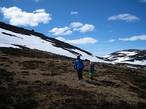 Abisko Juni 2009 dag 4 - 16.jpg